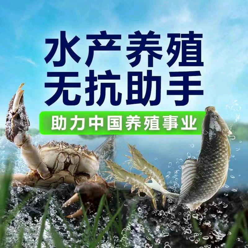 阿鑫养鱼专业户