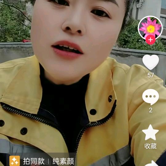 一只剑