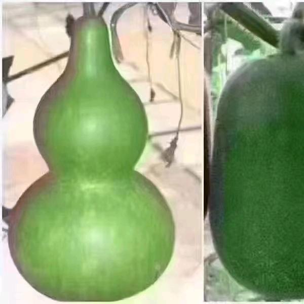 王师傅《帮办》