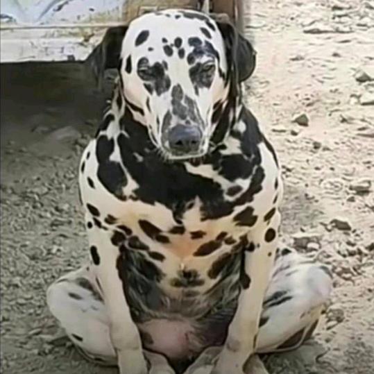 莱吃零食吖