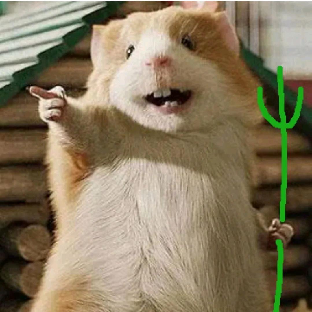 只说真话的老武