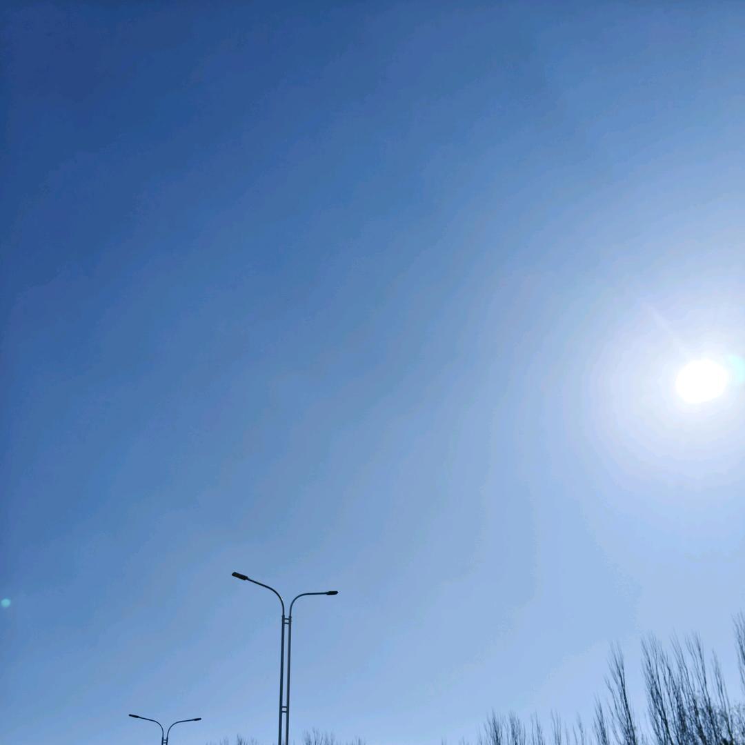 &勿忘我