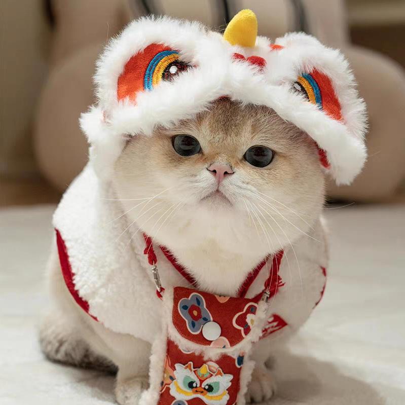 火星公民付某某yu