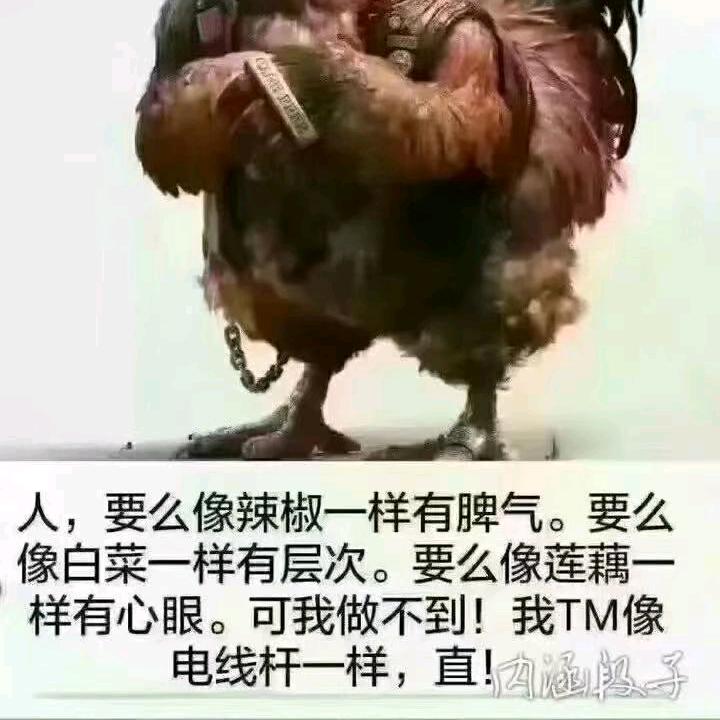 正在渡劫