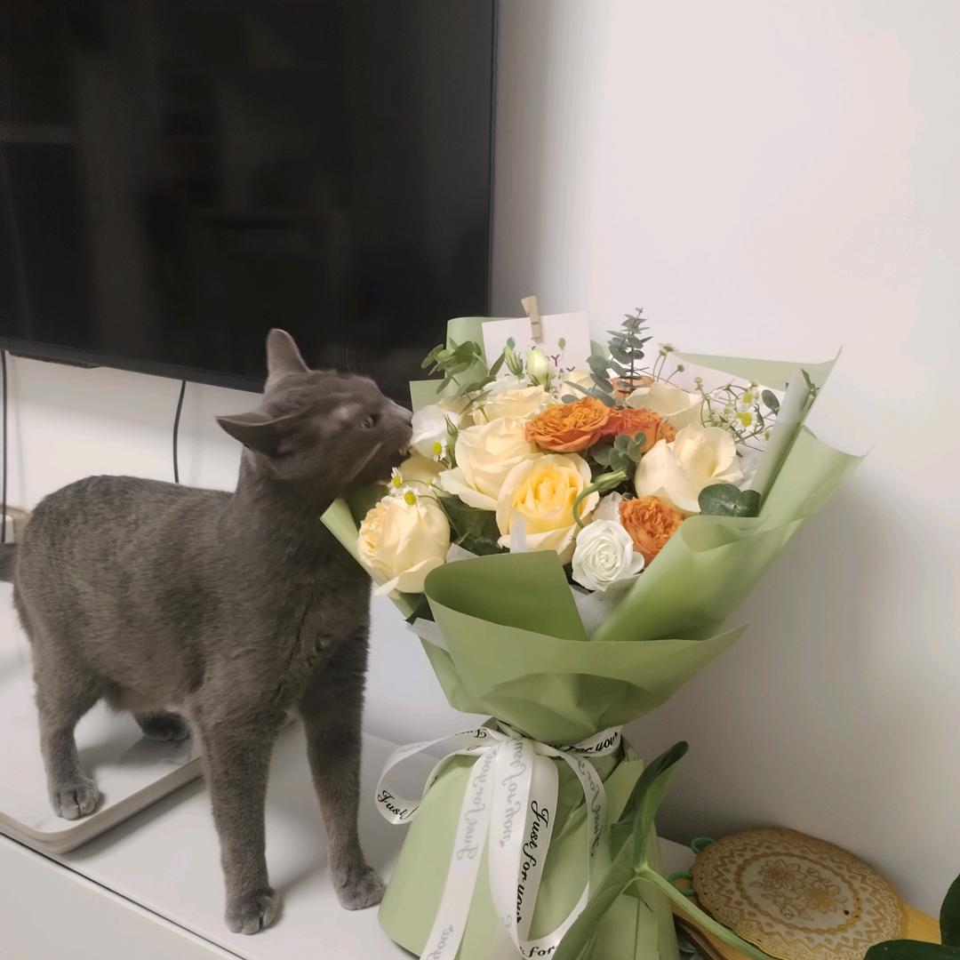 👩‍❤️‍👩@刘…👩‍❤️‍👩