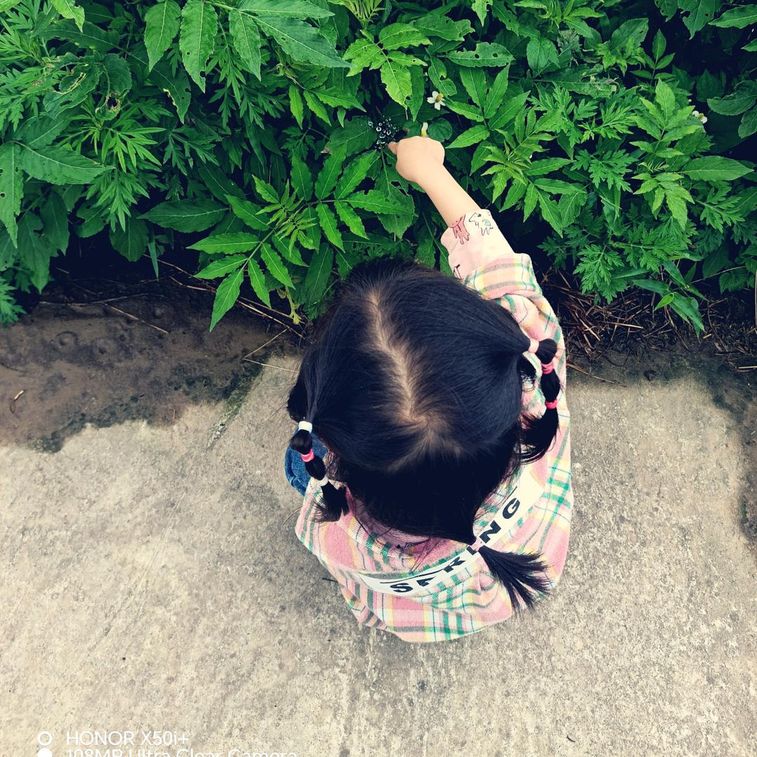 看淡就好