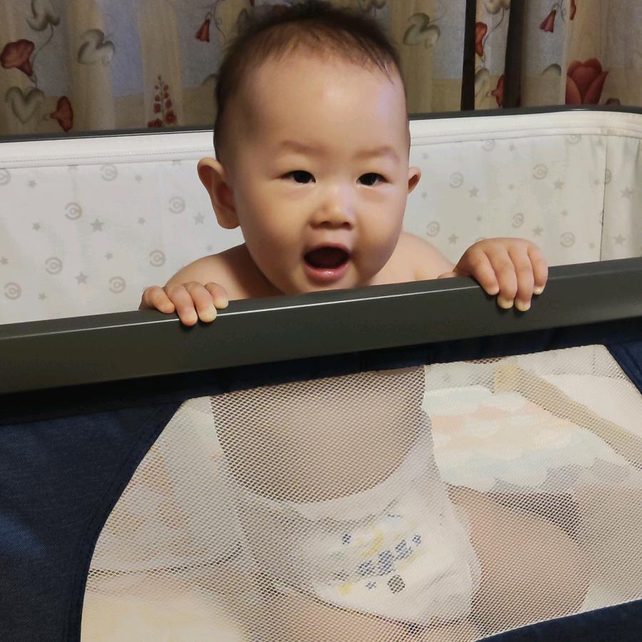 肉龙