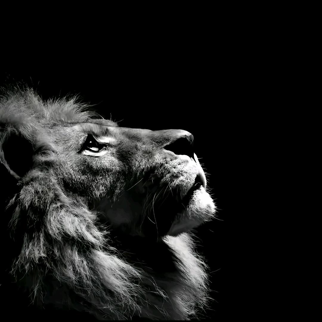 我吃完饭必须马上躺下