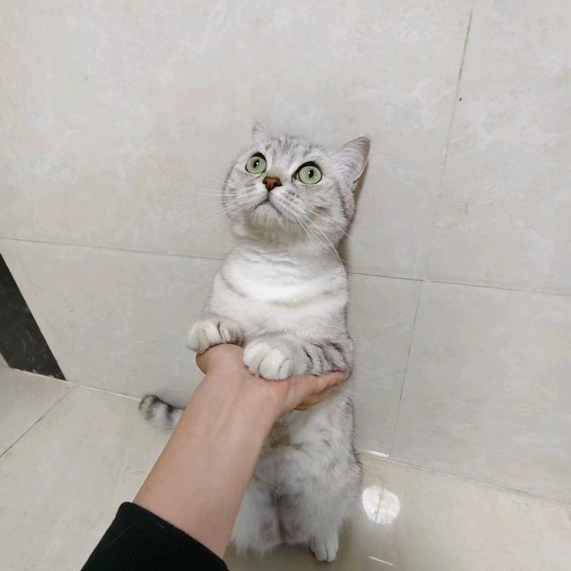 盆与盐