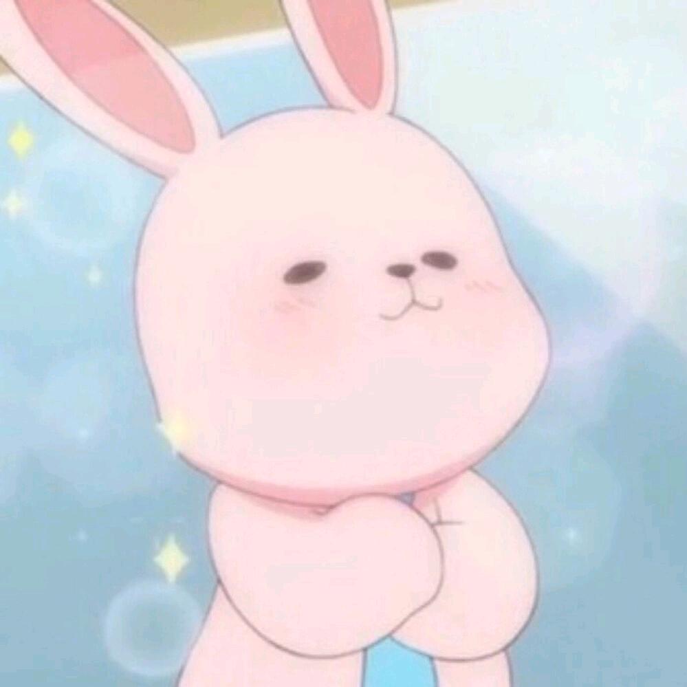 有只小兔宝🐰