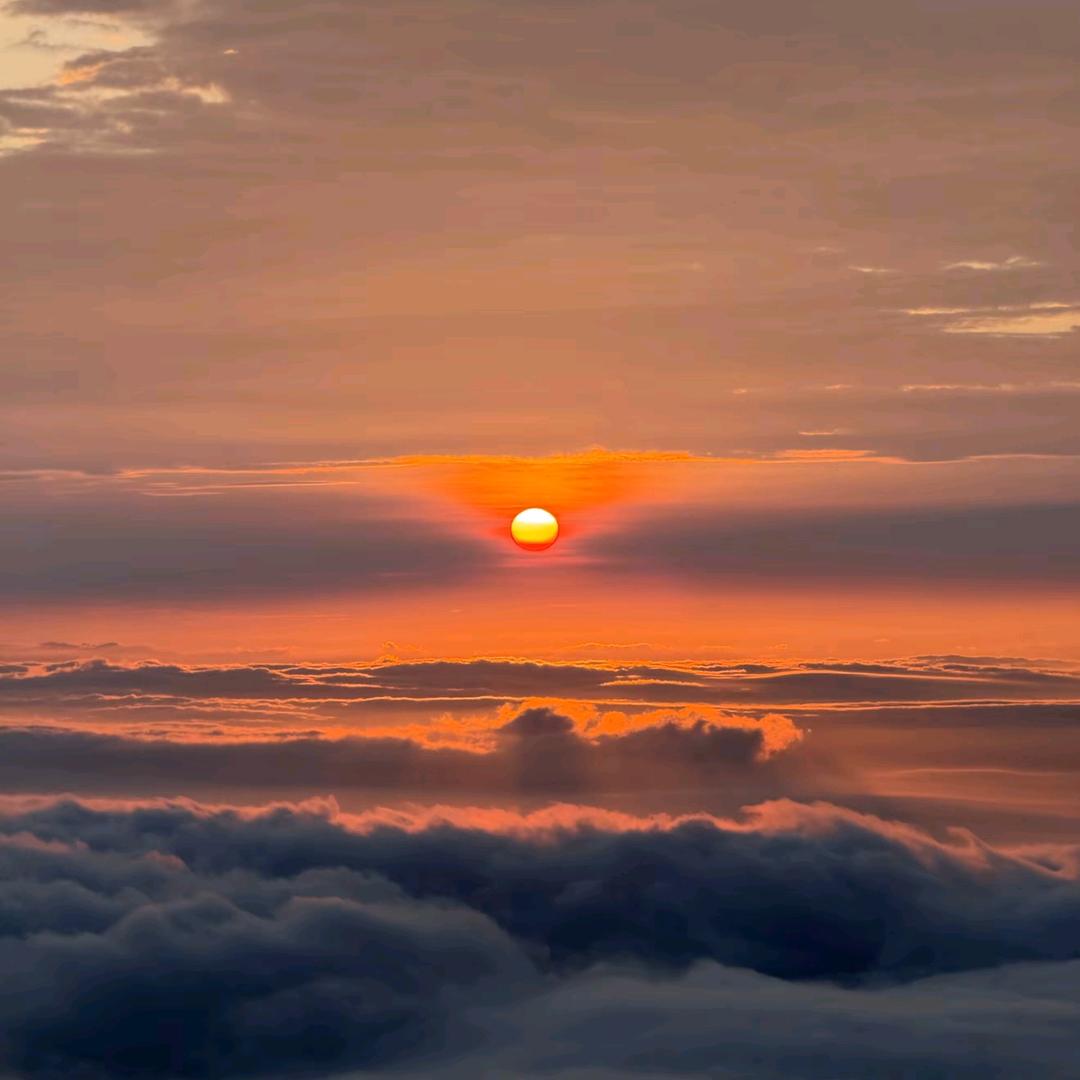 小阳（混的玩）