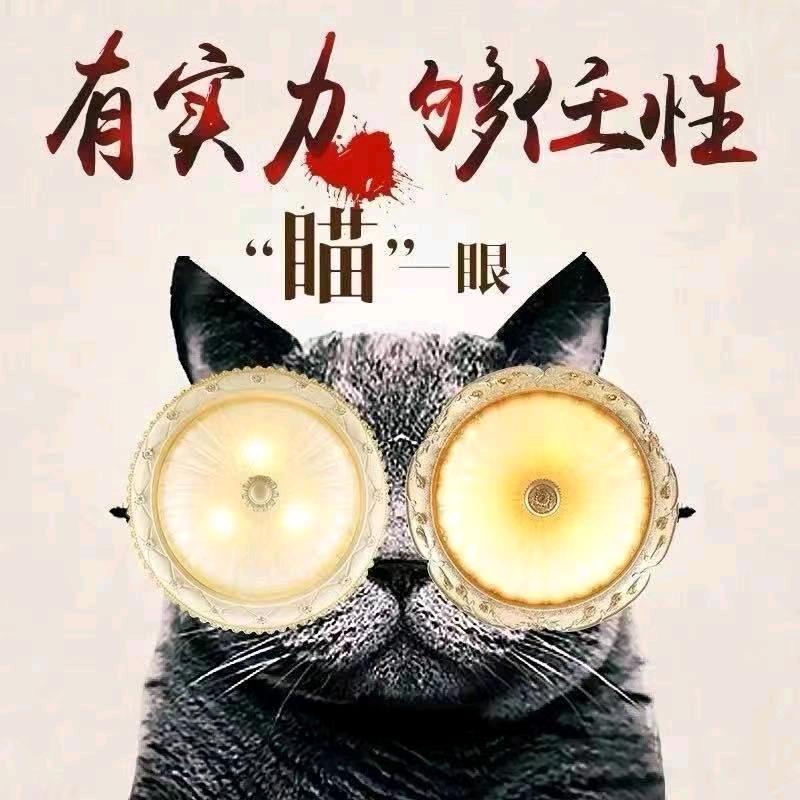年轻人的时代