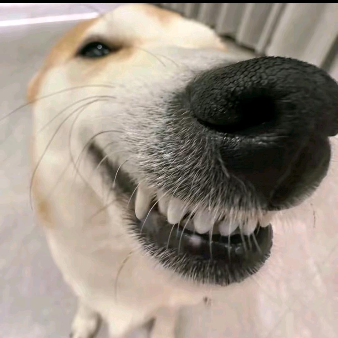 窝瓜哥