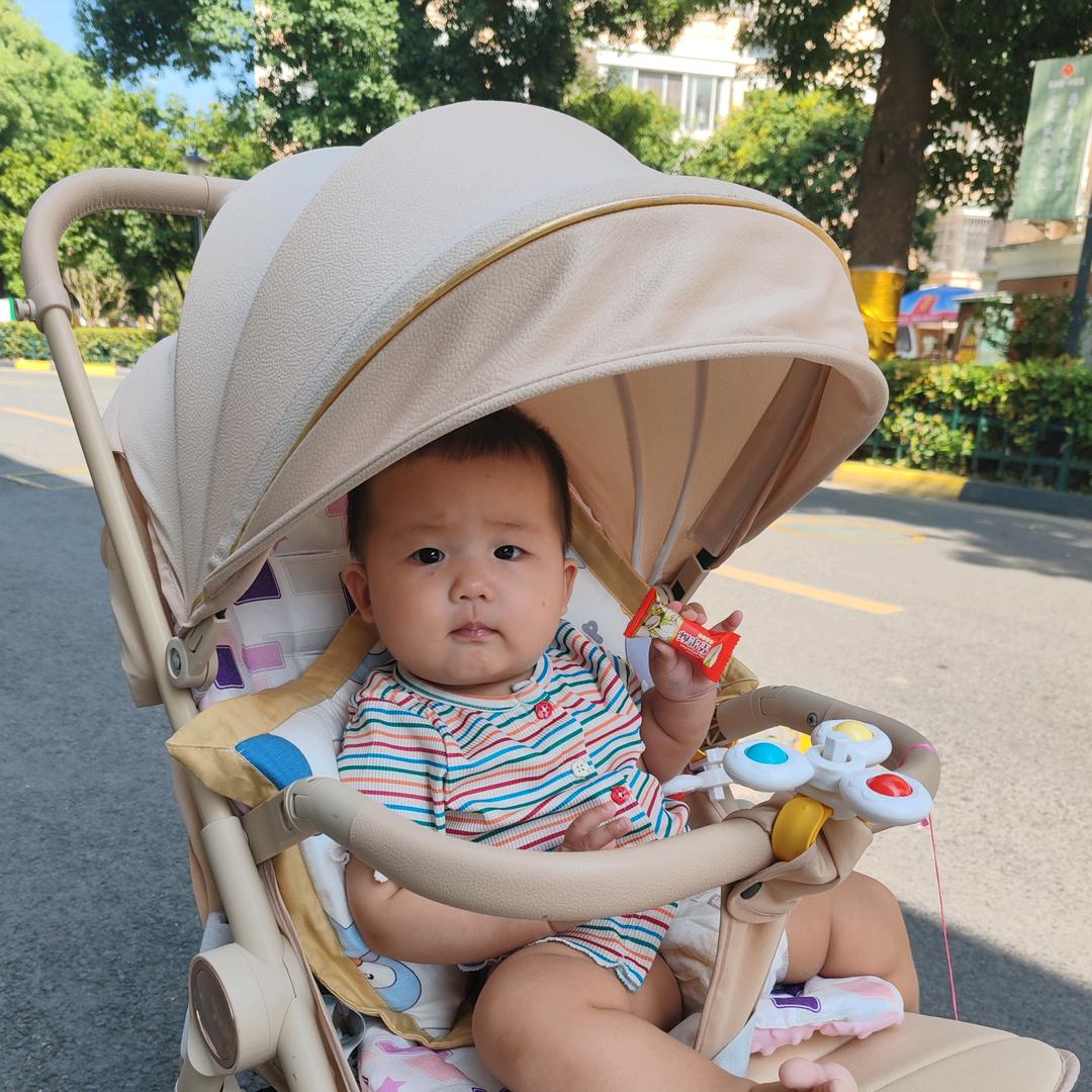 桐宝显眼包成长记