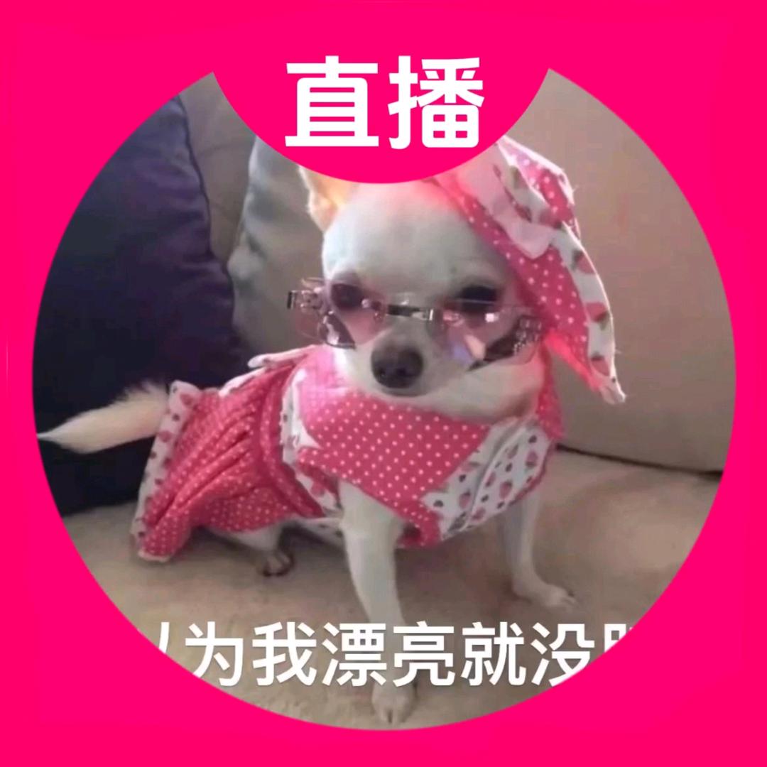 wjxjzkdhsdh