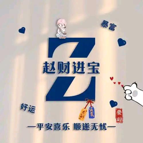 赵财进宝💰✨
