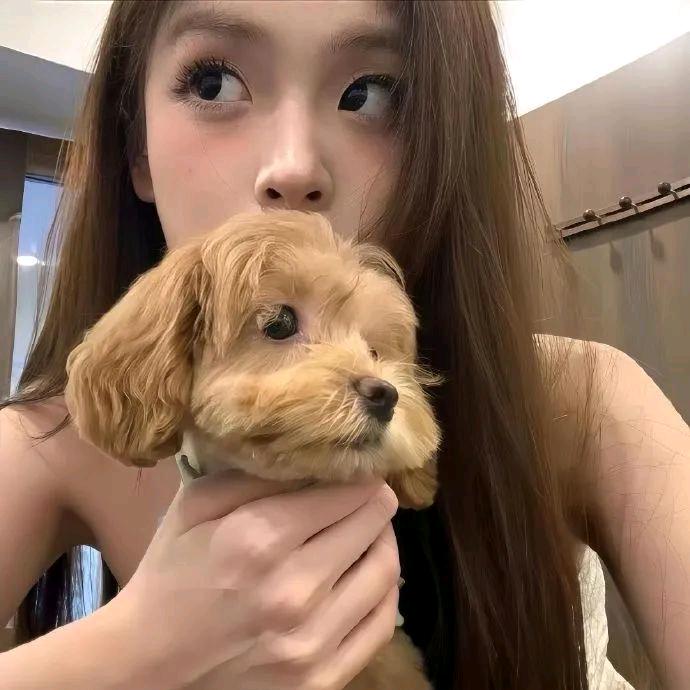 美女的乱七八糟