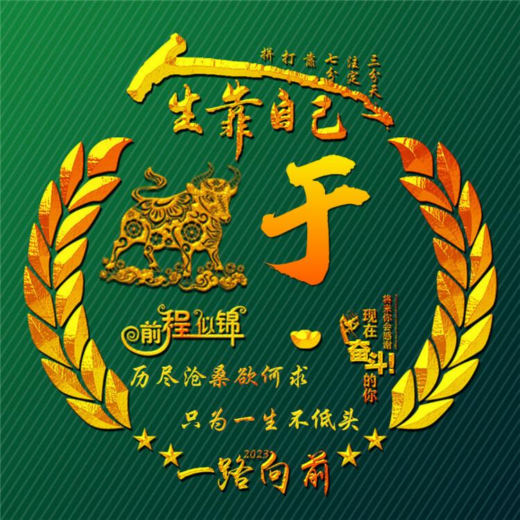 格局掌控者