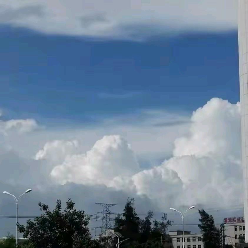 a丽姐