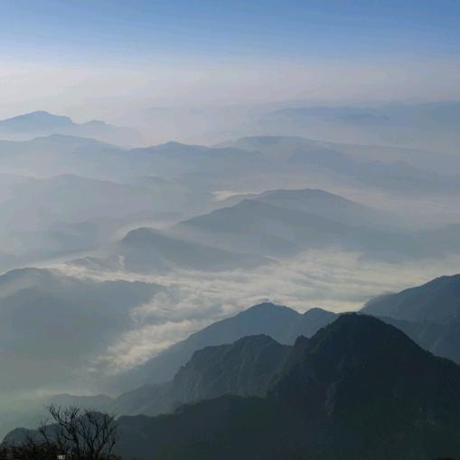 故纸上风尘落荼锦、