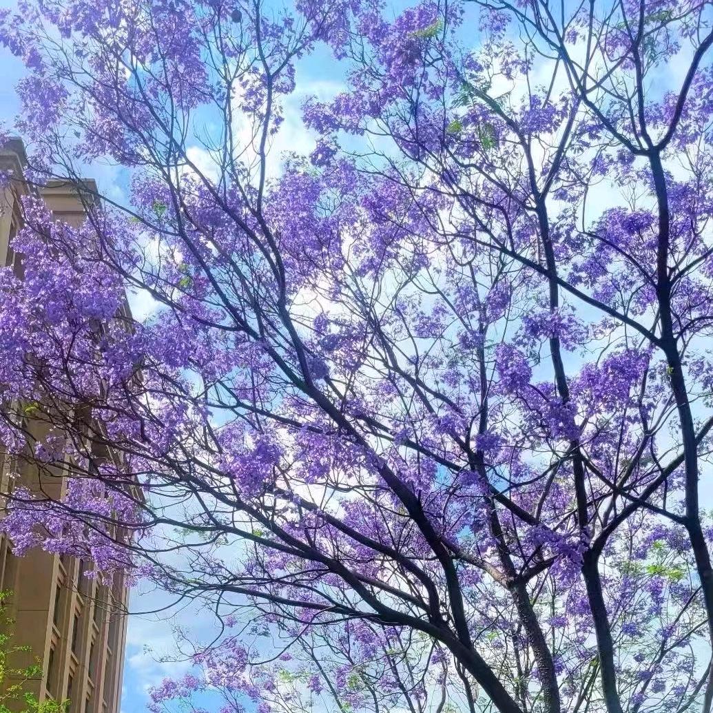 前