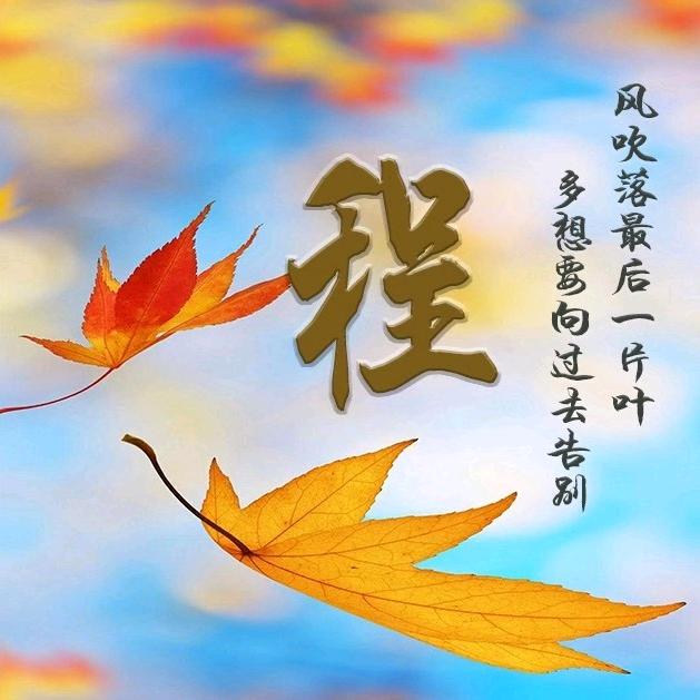 林飞