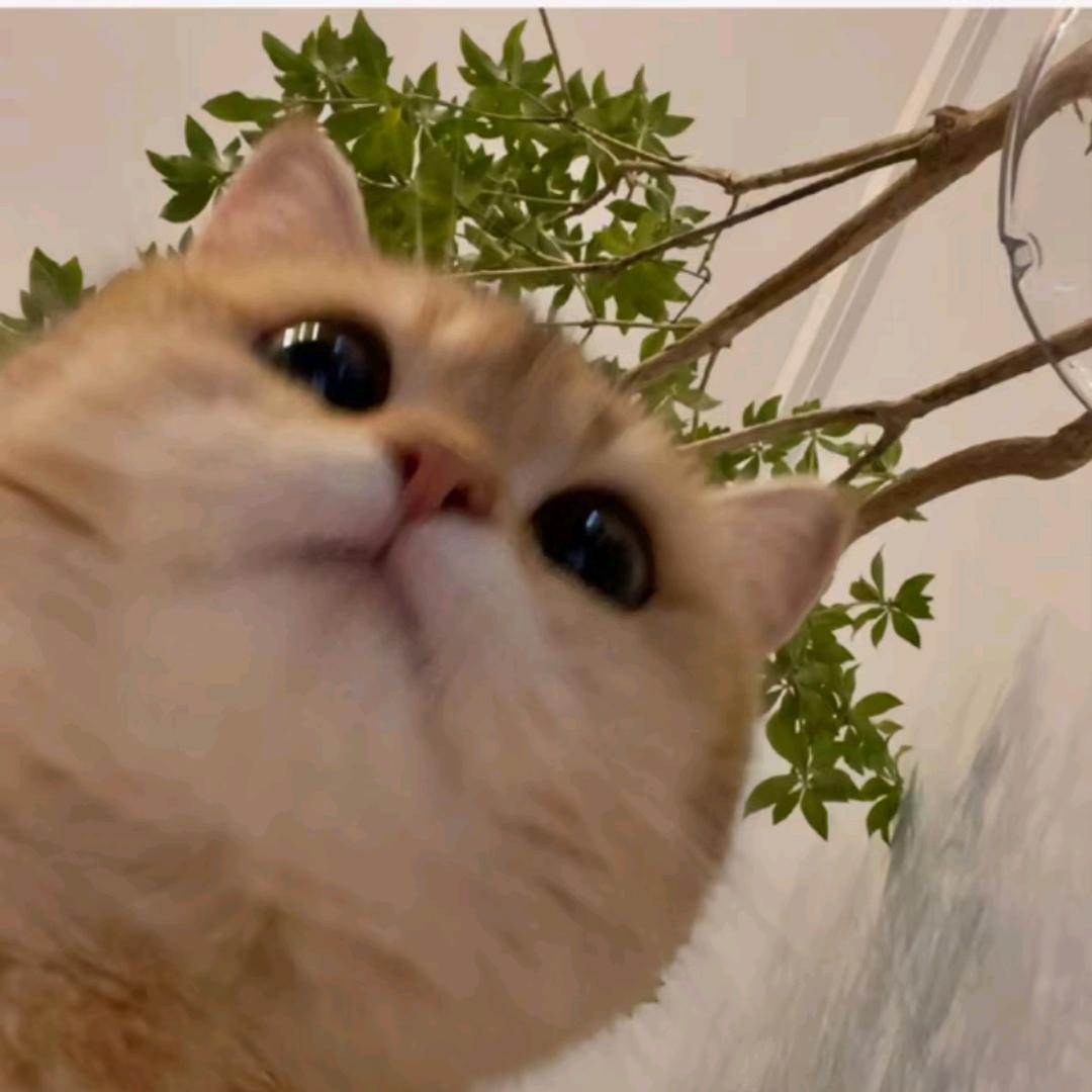 路广