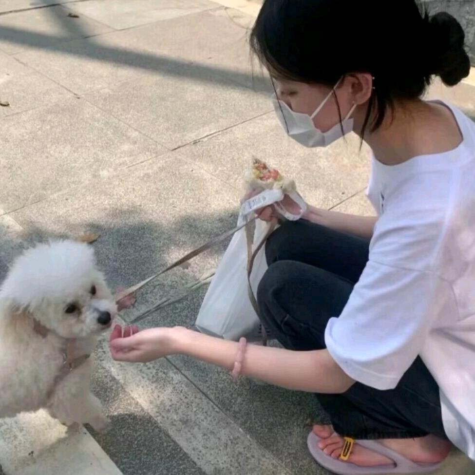 甘肃学仕小爱老师