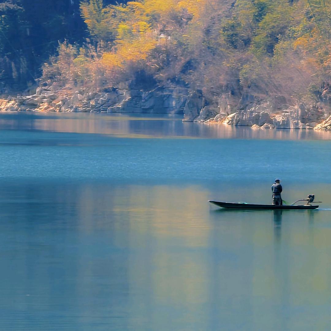 就让一切随风