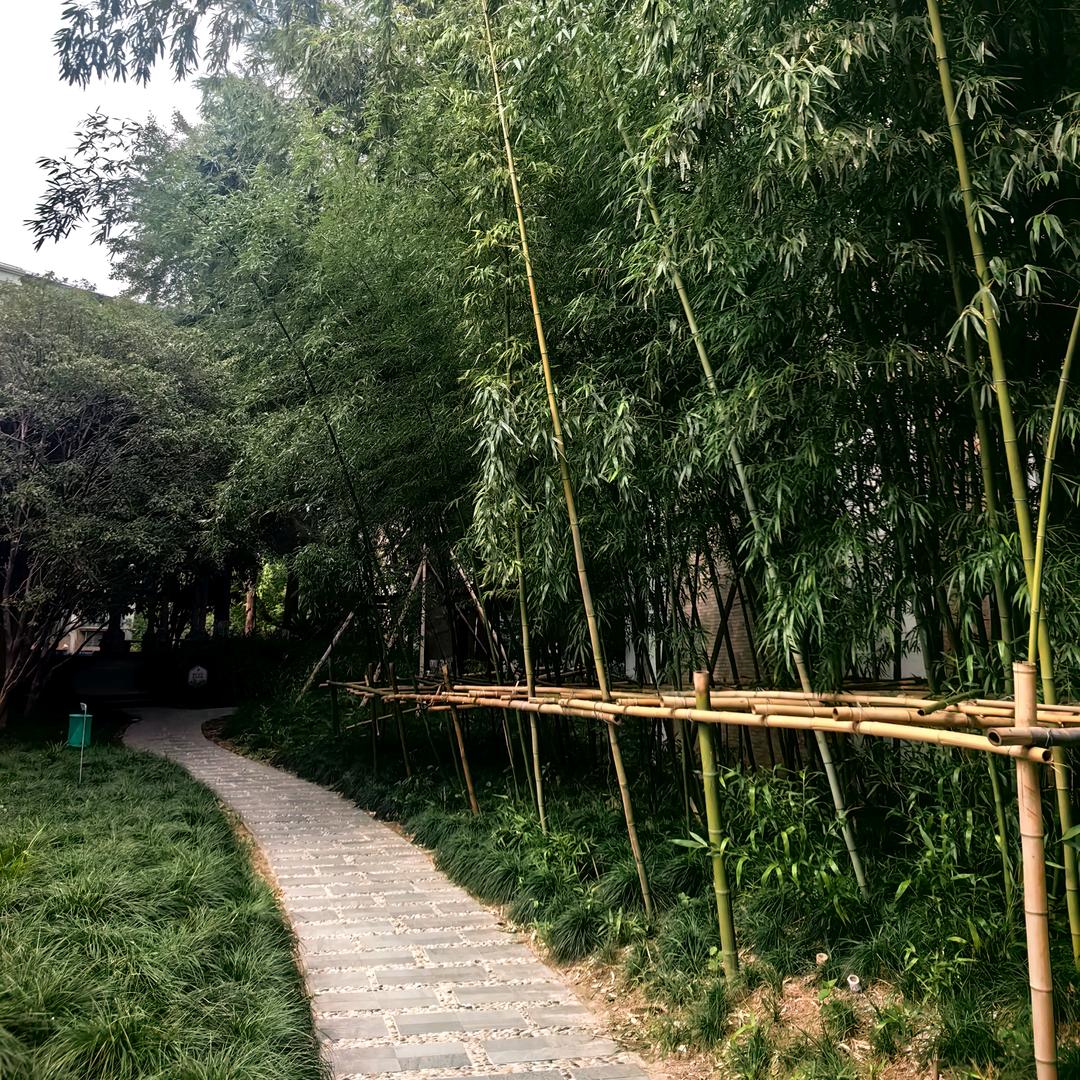 数字专家