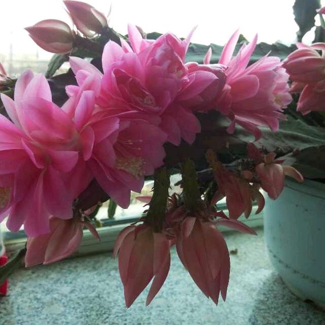 &㏂*≯⇔