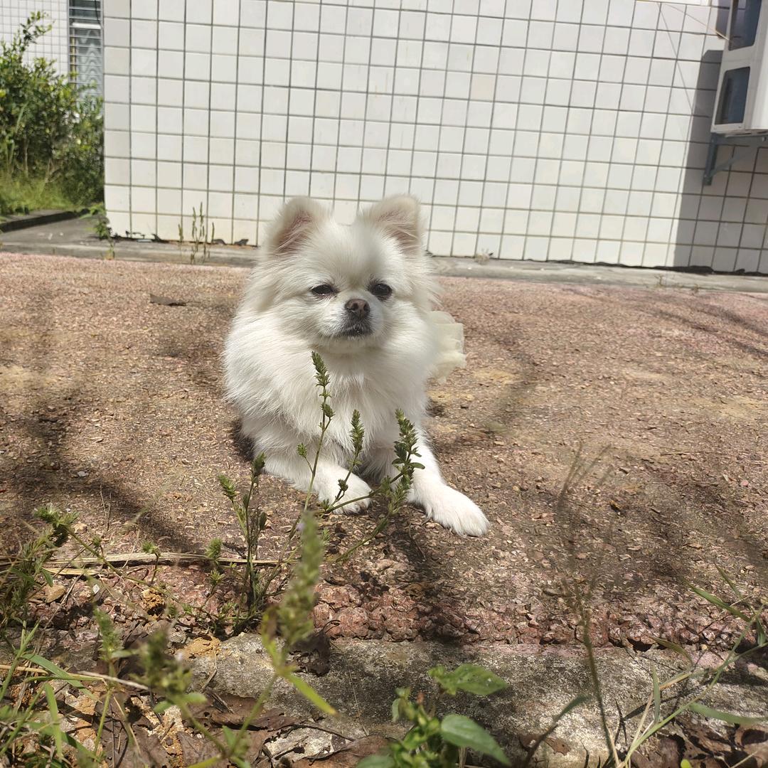 一小只笑开颜😘