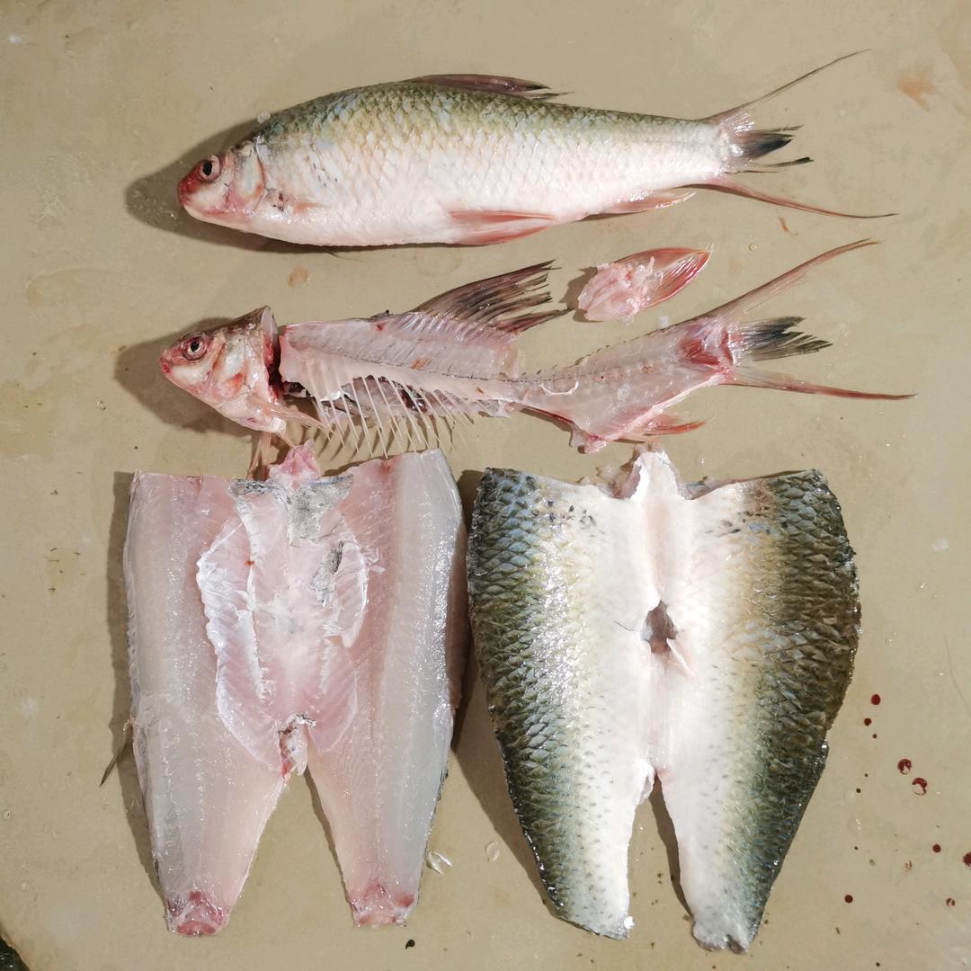 收购鲮鱼🐟出售鲮鱼肉