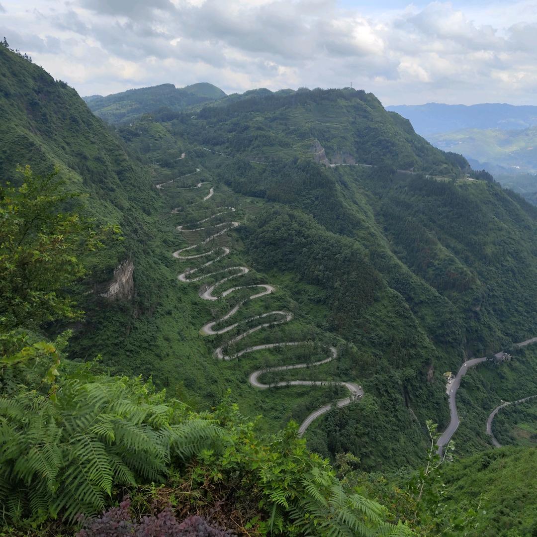 ～可可. (*^▽^*)