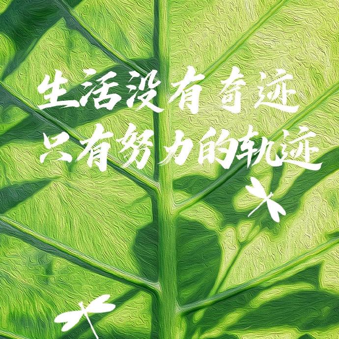 荔枝！