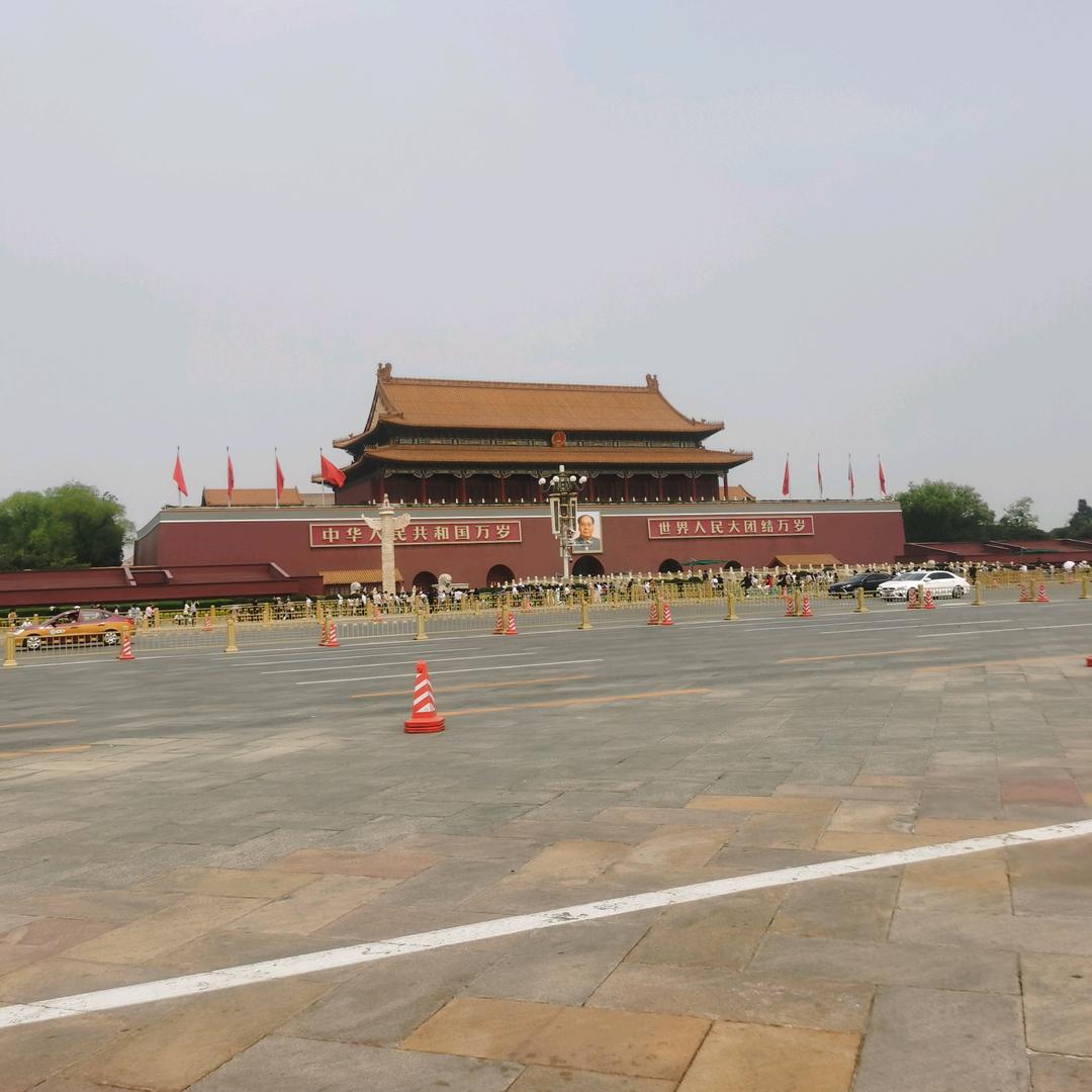 自由自在的风