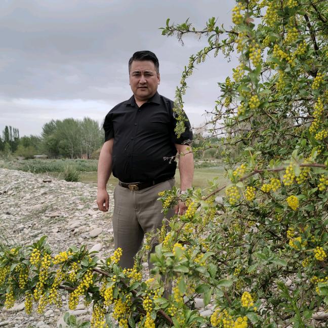 乌什县香鸡大盘鸡店