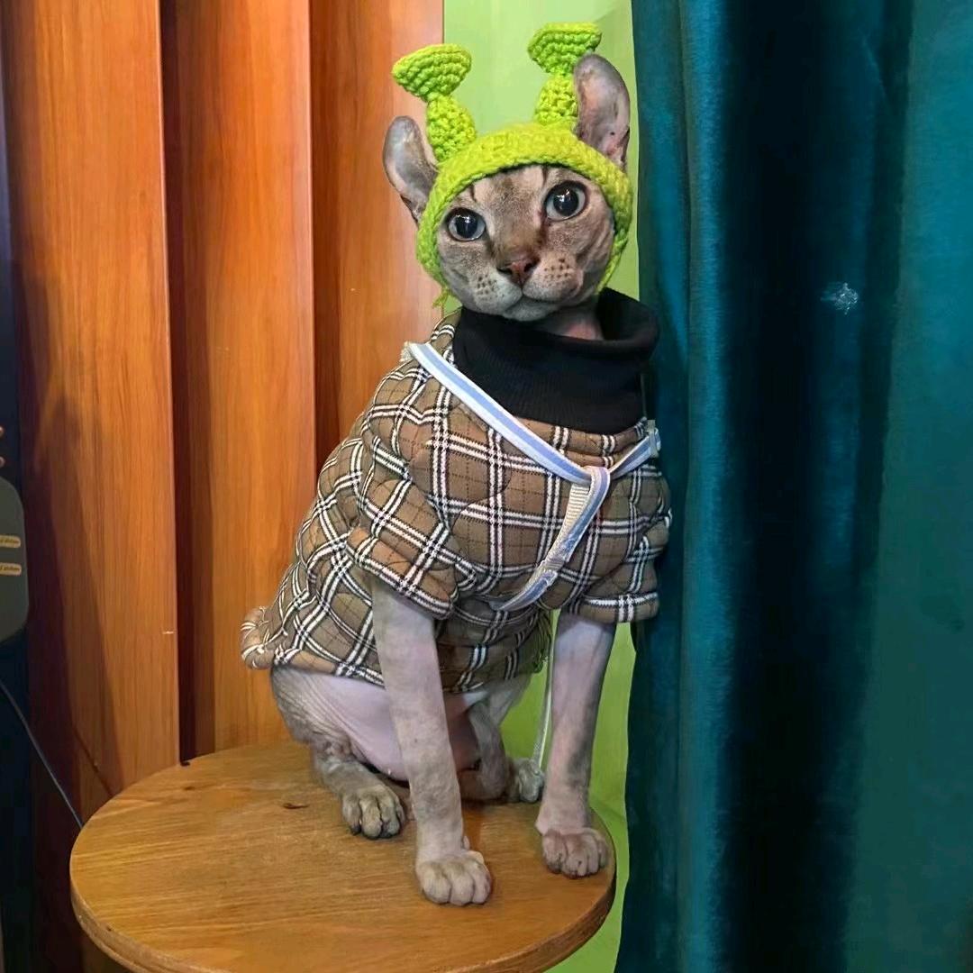 猫不易🐠