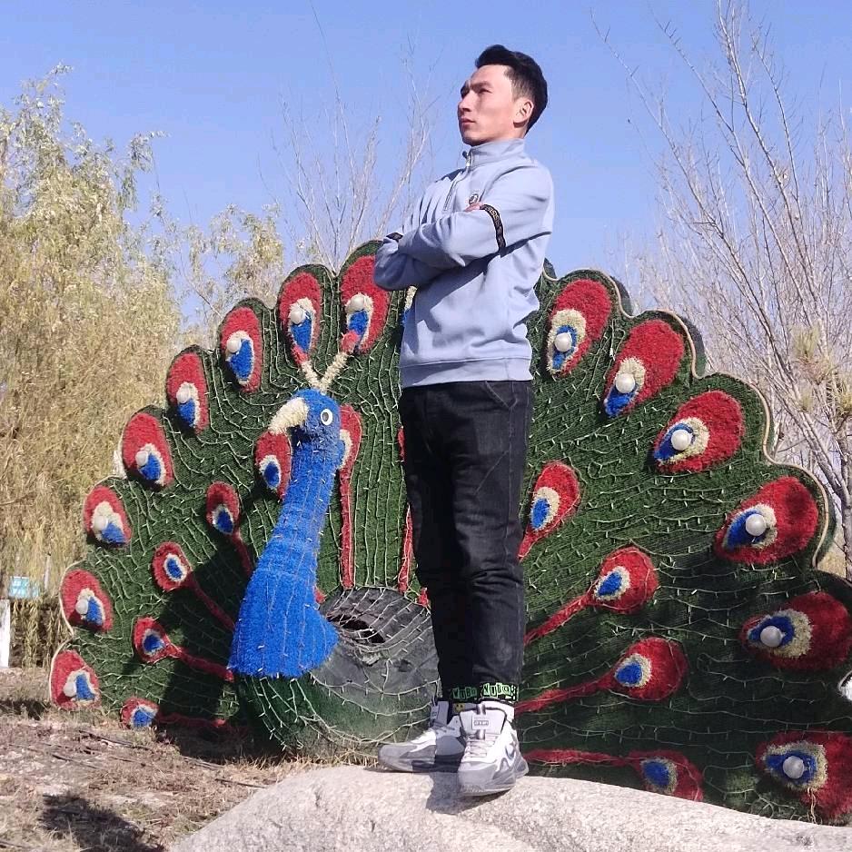 买教练迅捷驾校