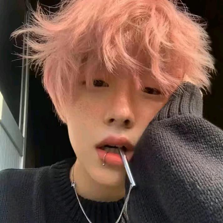 xiaomi Model