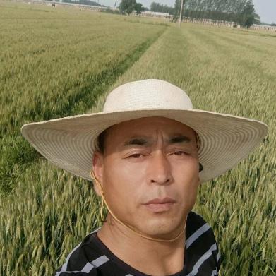 天很蓝太阳很暖