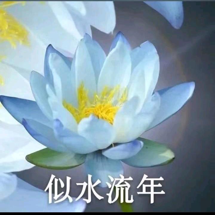 小李