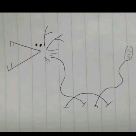 果园西路大橙子