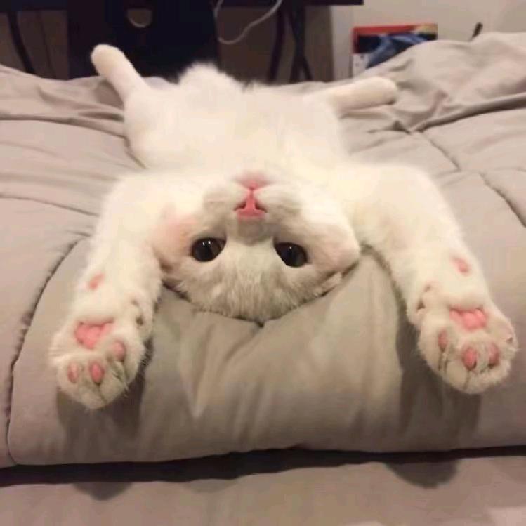 思宁