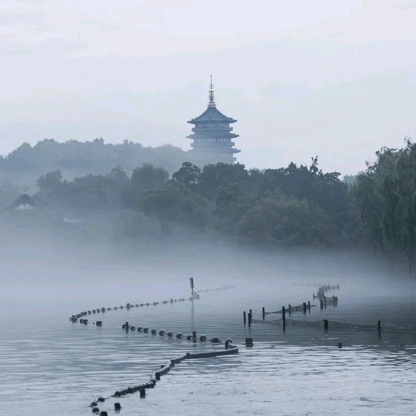 今晚不熬夜