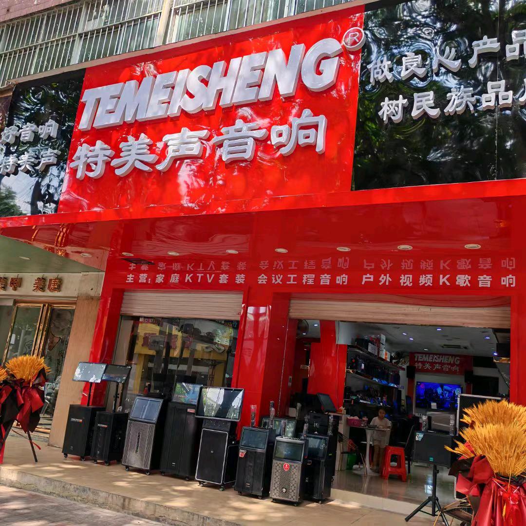 崇左特美声音响