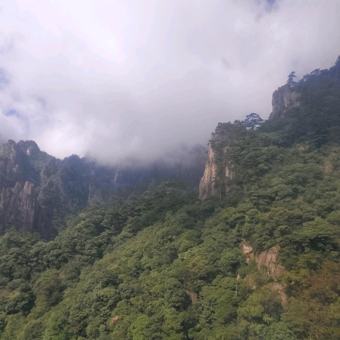 清风头像