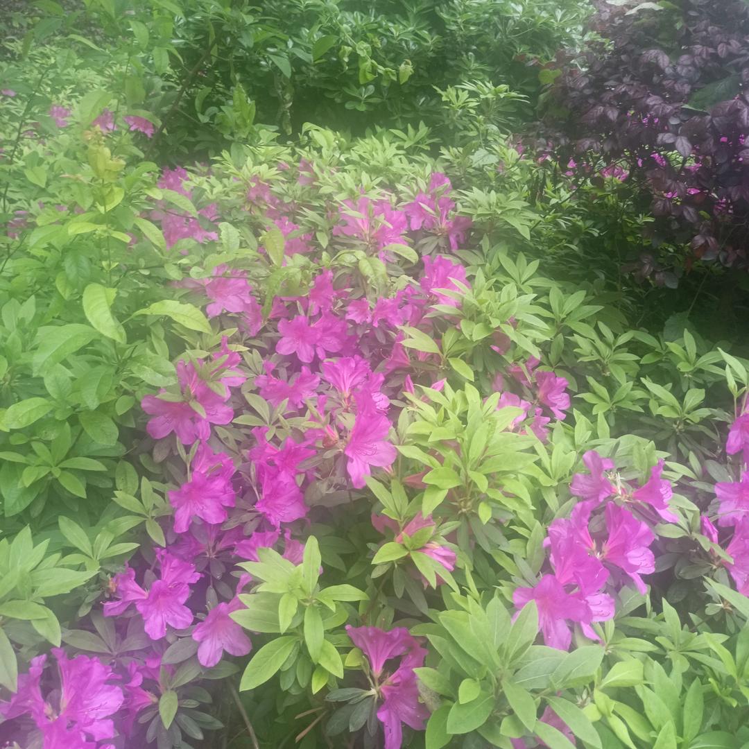 如果没有如果，只是想要简单的幸福