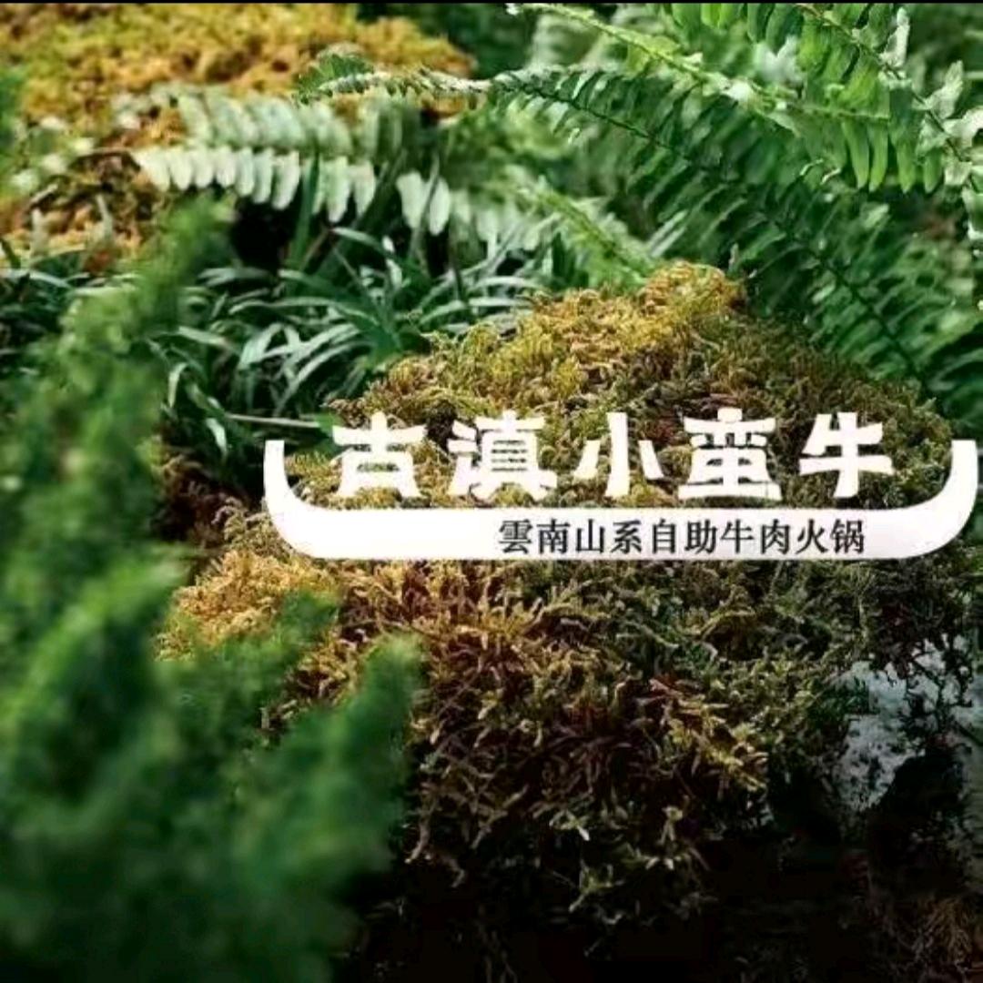 古滇小蛮牛（萧山朝龙汇店）