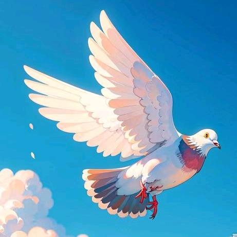 旋转的后轮